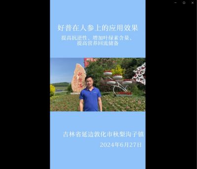 提高抗逆性、增加葉綠素含量、提高營養(yǎng)回流儲備:吉林省敦化市（2024.6.27）